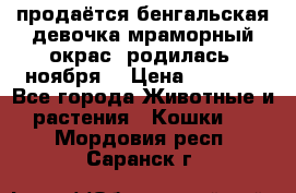 продаётся бенгальская девочка(мраморный окрас).родилась 5ноября, › Цена ­ 8 000 - Все города Животные и растения » Кошки   . Мордовия респ.,Саранск г.